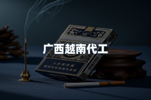 广西越南代工